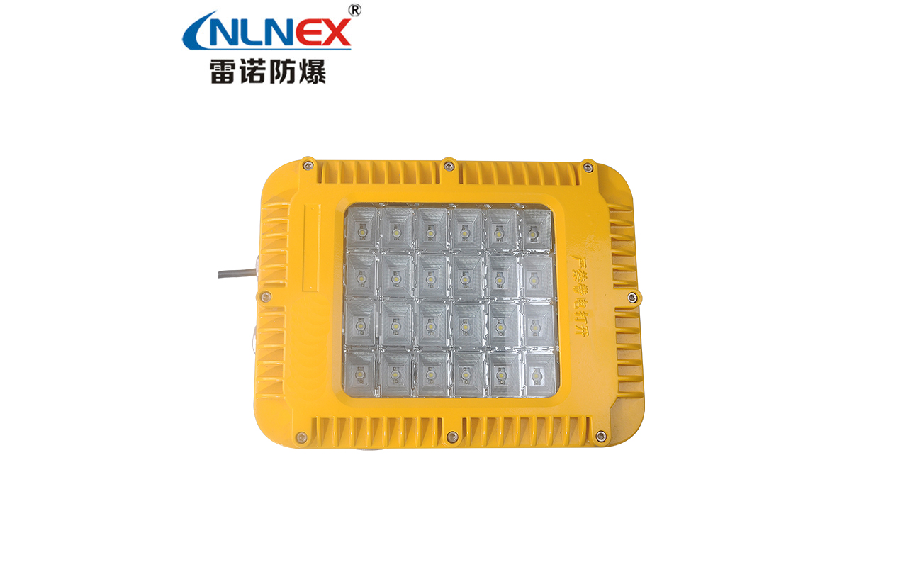 LND121 LED防爆泛光燈